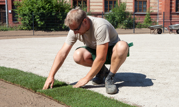 Gartenbau breuer Leistungen: Pflanzungen und Rollrasen