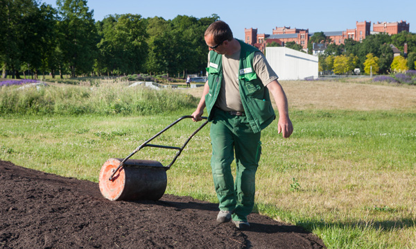 Gartenbau breuer Leistungen: Pflanzungen