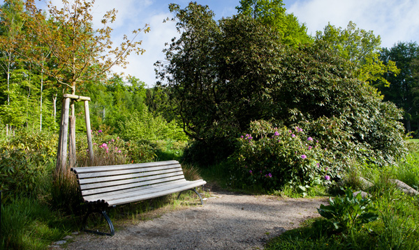 Gartenbau breuer Leistungen: Beratung