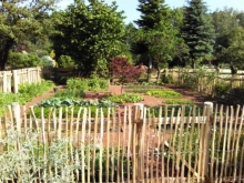Fertig - der Bauerngarten im Juni
