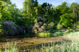 Schlosspark Willigrad: Neugestaltung einer Teichanlage  
